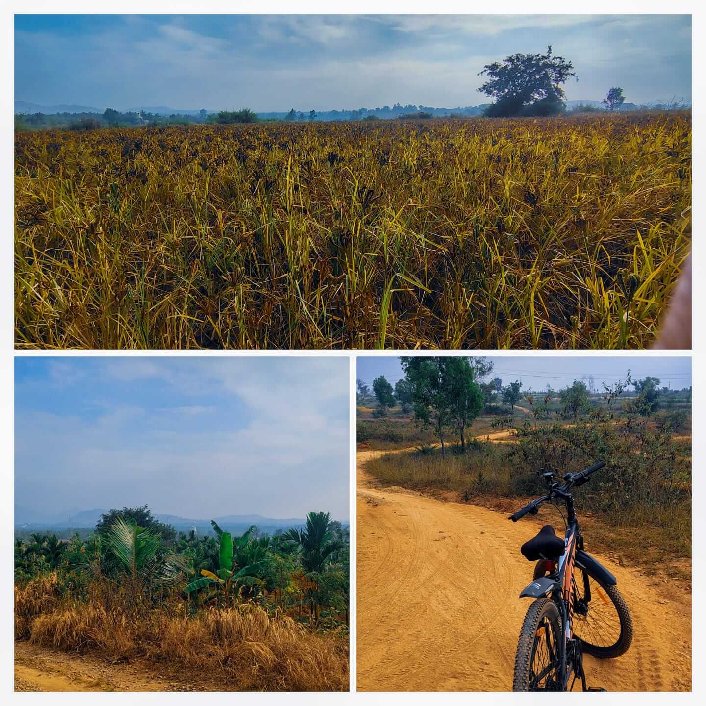 Shettihalli to Palsandra